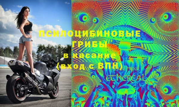 спиды Нея
